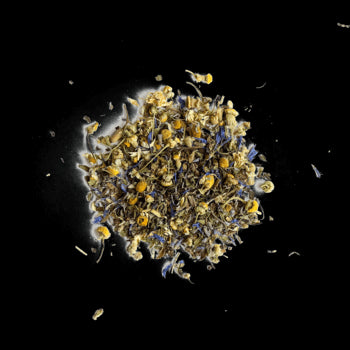 Free Tea Samples